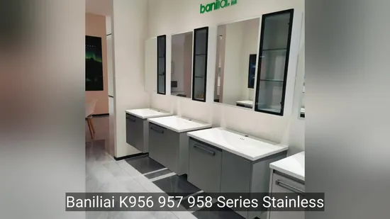 Stainless Steel Sanitary Ware Home Furniture Bathroom Vanity Cabinet (by-B6051)