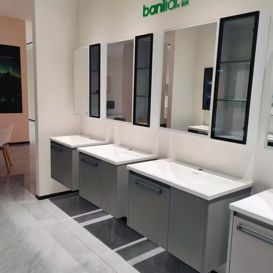 Stainless Steel Sanitary Ware Home Furniture Bathroom Vanity Cabinet (by-B6051)